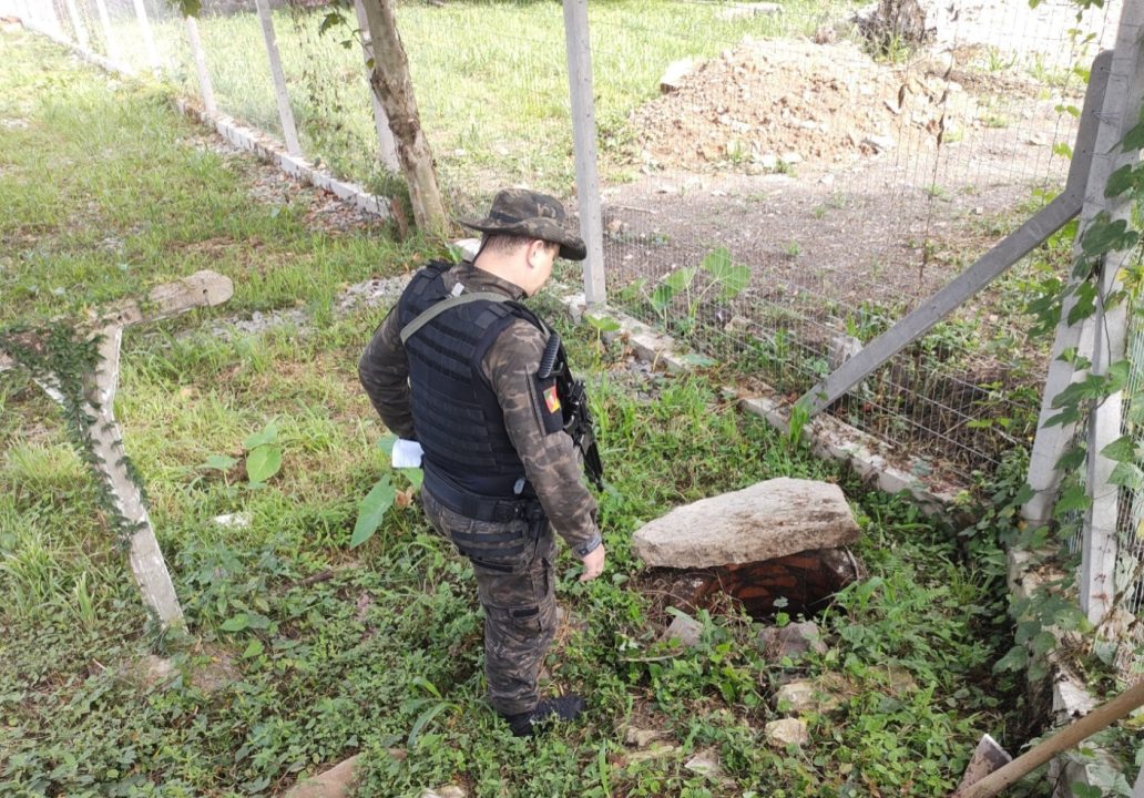 Batalh O Ambiental Da Brigada Militar Flagra Destrui O De Banhado E