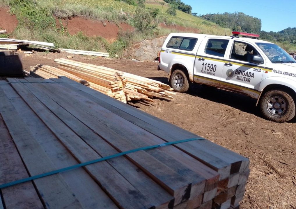 3 Batalhão Ambiental da Brigada Militar flagra madeireira atuando