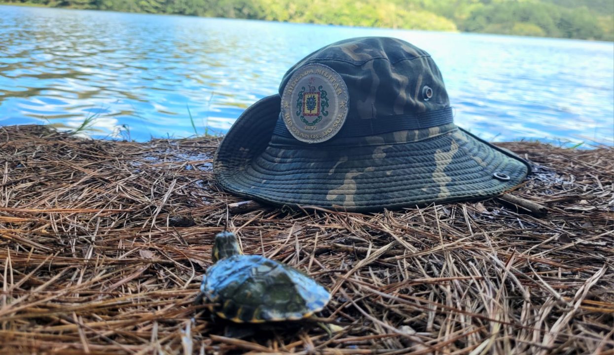 Batalh O Ambiental Da Brigada Militar Resgata Uma Tartaruga Tigre D