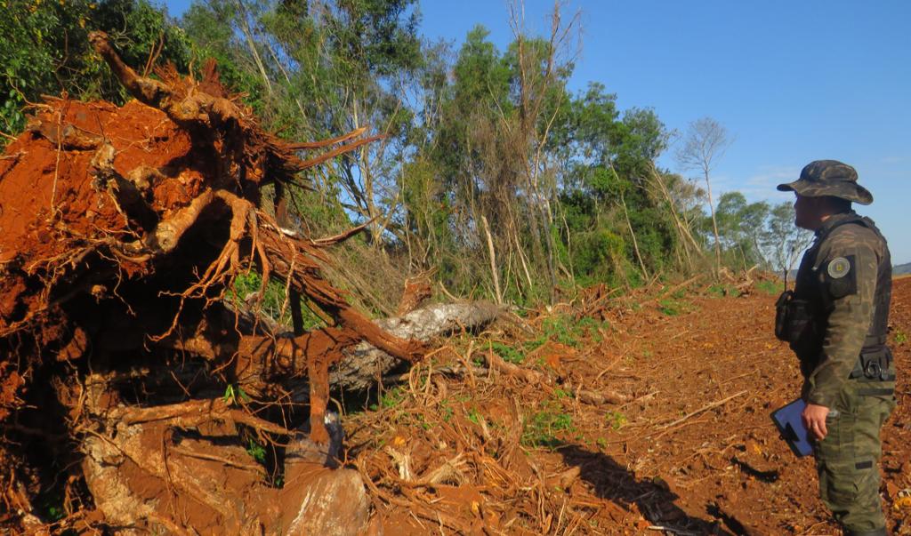 Batalh O Ambiental Da Brigada Militar Flagra M De