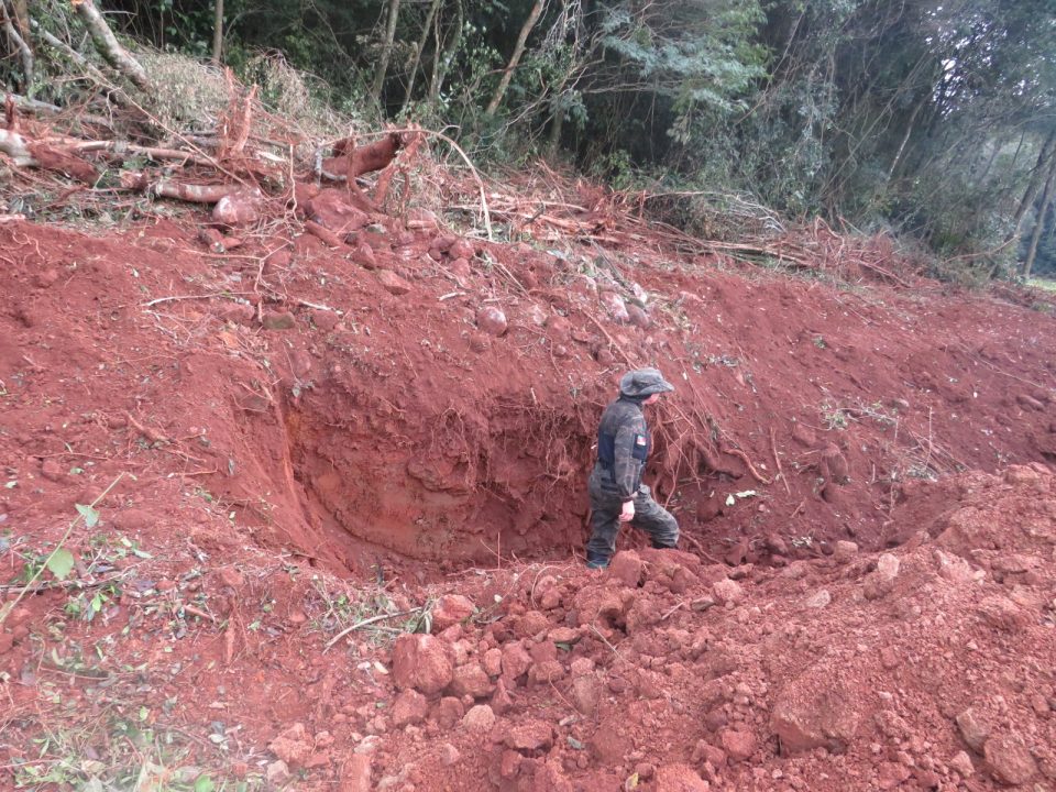 3 Batalhão Ambiental da Brigada Militar constata crime de desmatamento