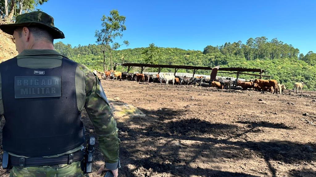 3º Batalhão Ambiental da Brigada Militar flagra poluição em recurso